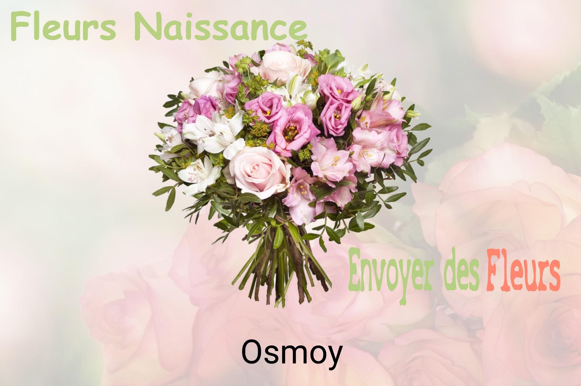 Bouquet de fleurs de naissance livré à Osmoy